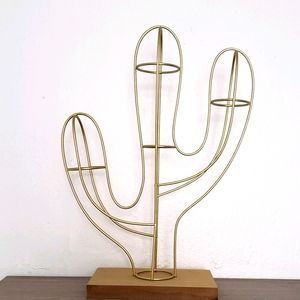 Cactus home decor